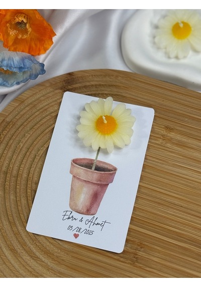 Bernami Mumluk Şamdanpinterest 20 Adet Kartlı Papatya Mum Diğer