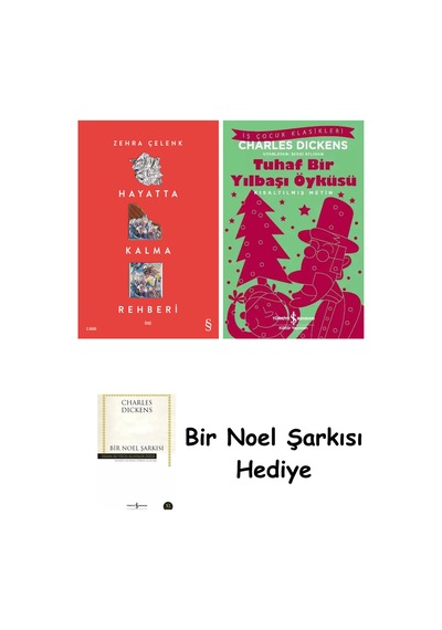 Hayatta Kalma Rehberi + Tuhaf Bir Yılbaşı Öyküsü + Bir Noel Şarkısı