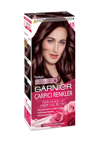 Garnier Çarpıcı Renkler Krem Saç Boyası - 4.15 Buzlu Kestane