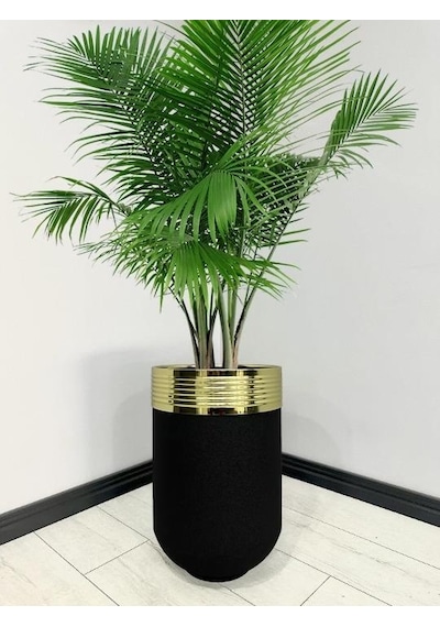 Elegant Dekoratif Gold Darbuka Siyah Saksı 60cm