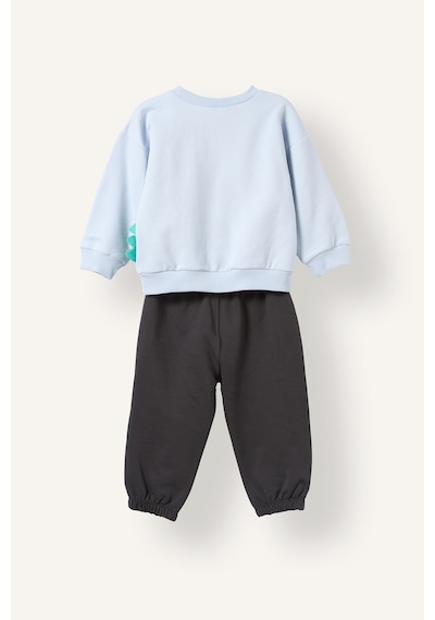 Defacto Hayvan Desenli İnce Sweatshirt Kumaşı 2li Takım Erkek Bebek I3754a526wnbe771 Mavi-be771