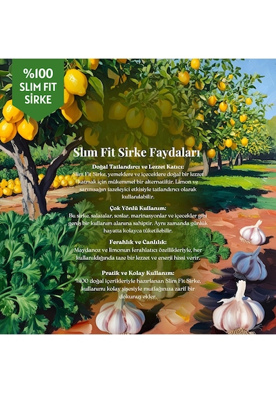 Mim and More Slim Fit Maydanoz & Limon & Sarımsak Sirkesi 250 ML