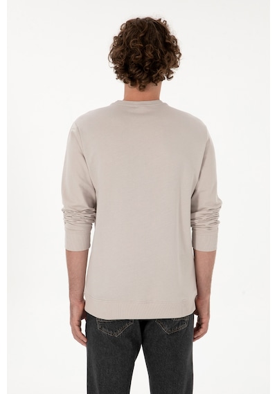 U.S. Polo Assn. Erkek Regular Fit Bisiklet Yaka Taş İnce Sweatshirt 50313801-VR049