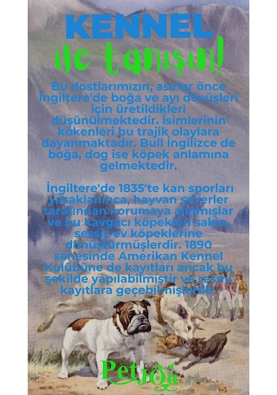 Petjoo 16.Kennel Yeşil-Mavi Qr'lı Köpek Künyesi