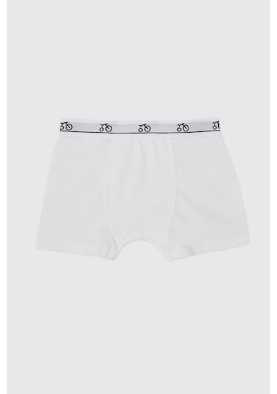 Panço Erkek Çocuk 3'lü Beyaz Boxer Seti 2602bk14001