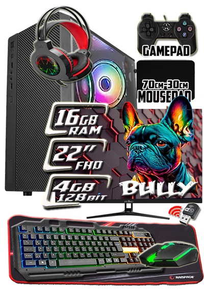 Warbox Bully X5650 16 GB 256 GB SSD 4 GB R7240 22" W10P Masaüstü Oyuncu Bilgisayarı