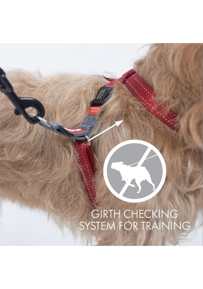 Ezydog Çekme Koşum Takımı Cross Check Koşum Takımı Eğitimi, Dolgulu, Yansıtıcı Küçük, Orta Ve Büy Genel