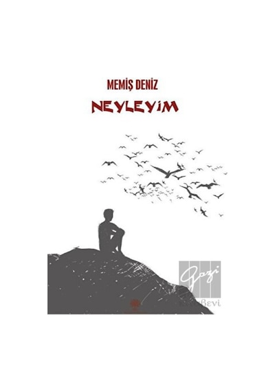 Neyleyim - Memiş Deniz - Platanus Publishing