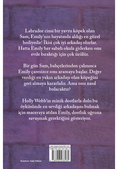 Üzgün Sam - Holly Webb - Pegasus