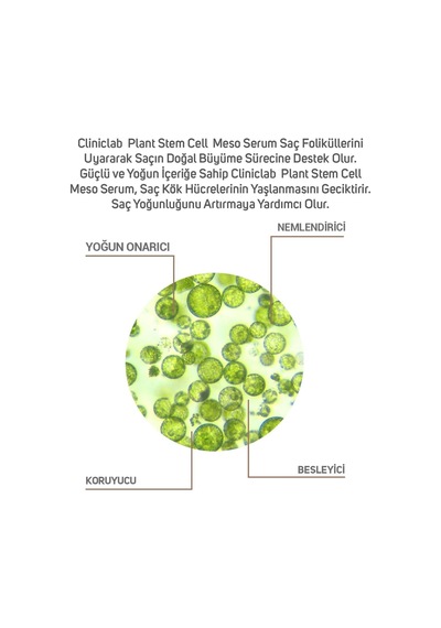 Bitki Kök Hücresi Meso Serum, 6 Ml X 10 Adet