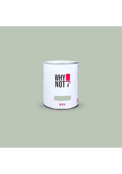 Whynot Yeşil Duvar Boyası - Olive Grove 2,5litre 0.2 KG