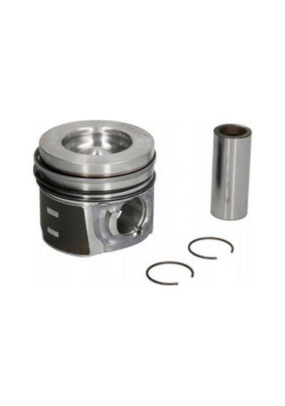 Federal Piston + Segman A1040305817 W140 202 210