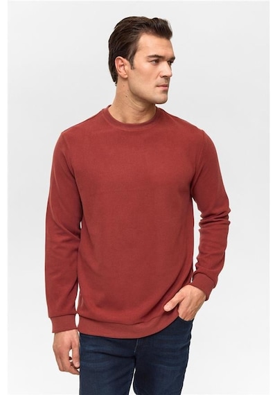 Süvari Açık Kahve Regular Düz Bisiklet Yaka Sweatshirt Açık Kahve
