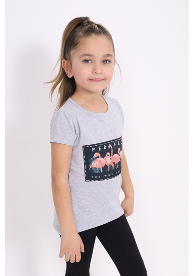 Toontoy Kids Toontoy Kız Çocuk Flamingo Baskılı Tişört Gri Melanj