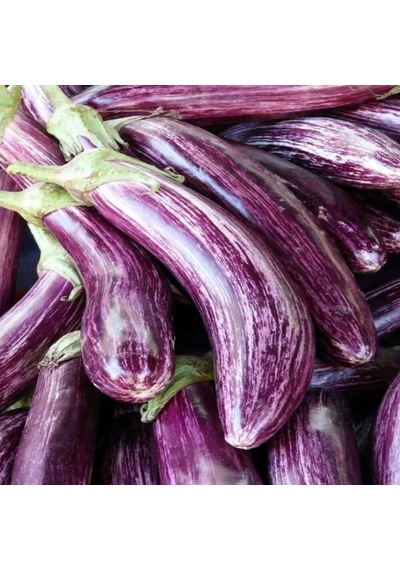 Long Variegated Patlıcan Tohumu 15 Tohum