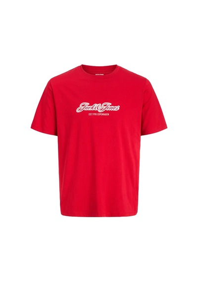 Jack & Jones Jorcatskills Çocuk Tişört Kirmizi