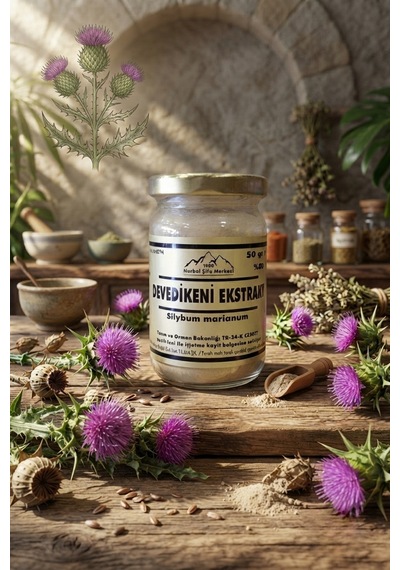 Devedikeni Toz Ekstrak 50 G