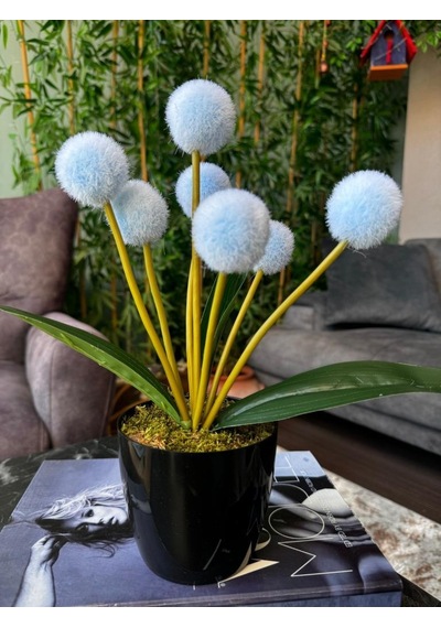 Yapay Çiçek Mavi Pompon Siyah Saksıda Dekoratif Yapay Çiçek 30 20cm