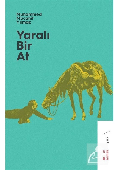Yaralı Bir At / Muhammed Mücahit Yılmaz
