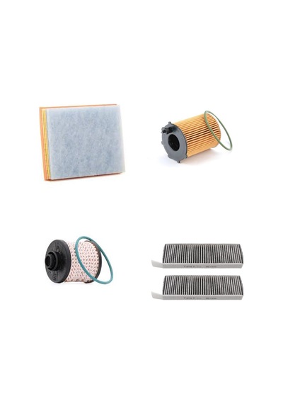 Bosch Filtre Bakım Seti Ds Ds5 5 1.6 Bluehdi 2016+ Hava + Yağ F + Yakıt F. + Polen Bosch