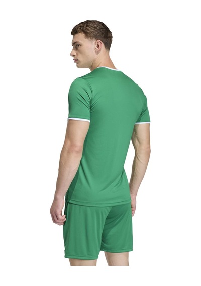 Teagrn/whıte Adidas Erkek Futbol Forma Ent26 Jsy Jz2503 Yeşil