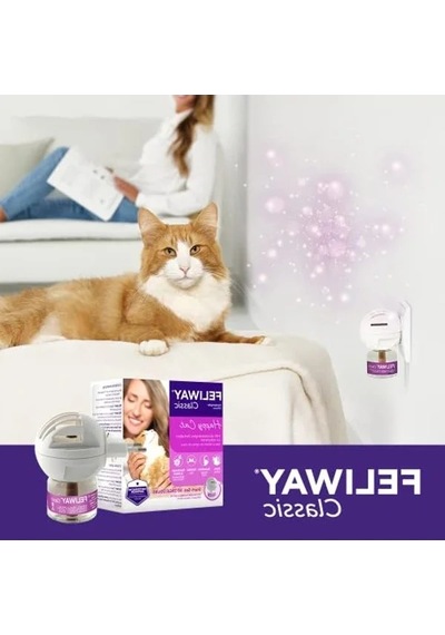 Başlangıç Seti, Kedi Ve Köpek İçin Özel Ürünler