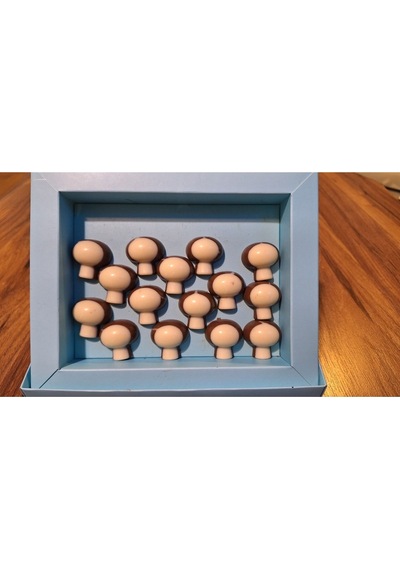 Spesiyal Hediyelik Çikolata 750 Gr
