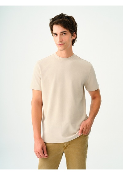 Regular Fit Erkek Tshirt K.kol Taş