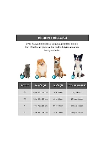 Az Tahıllı 3 Kg Yetişkin Kuzulu Small/mini Hypoallergenic Köpek Sı 100 G