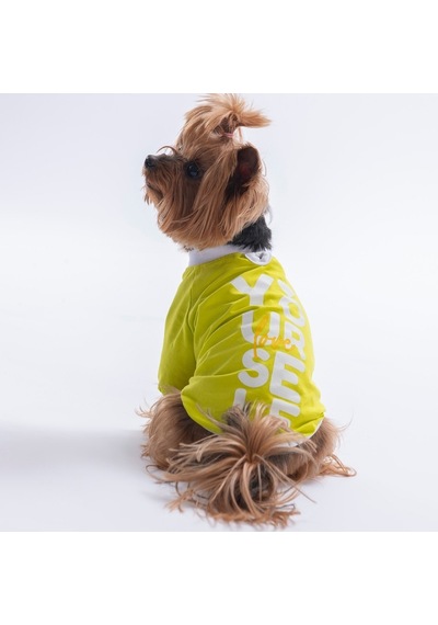 Yellow-sarı Yourself Love Sweat Kedi Köpek Sweati - Kedi Köpek Kıyafeti