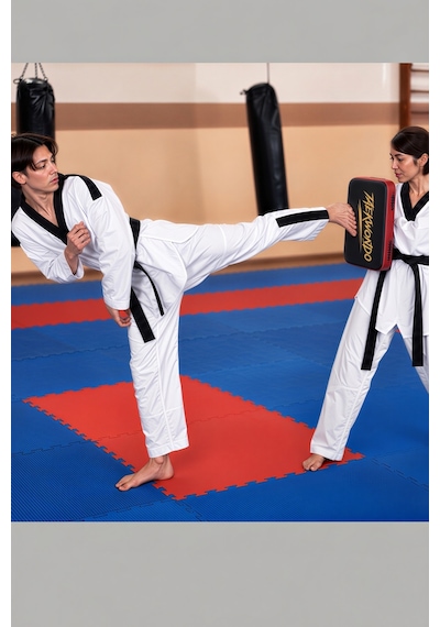 Waychamp Darbe Yastığı Taekwondo Darbe Yastığı Siyah