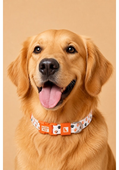 Köpekler İçin Dayanıklı Ve Güvenli, Desenli Boyun Tasması 25mm Pati