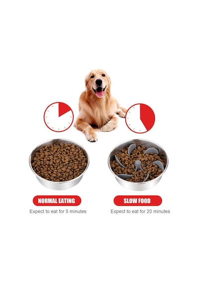 Köpek Mama Kabı Yavaş Besleyici Silikon Aparat Gri Renk