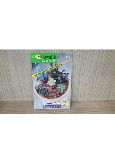 Karışık Kaktüs Çiçeği Tohumu Paket