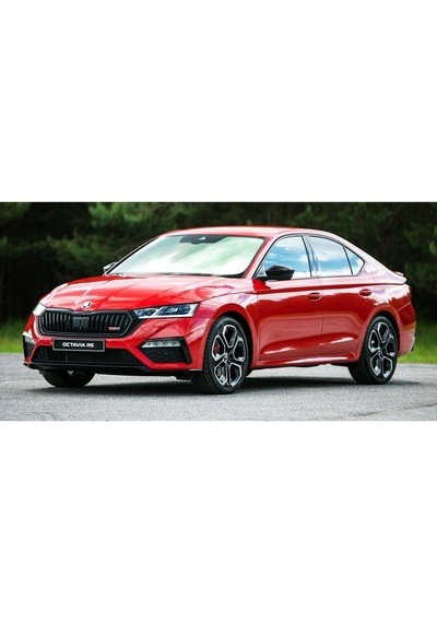 Yeni Skoda Octavıa Kilit Koruyucu Kapak (380008426)