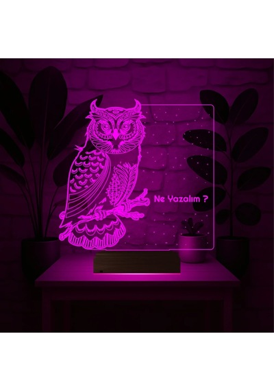 Luvivia Baykuş Kuş Tasarım Kişiye Özel 3d Lamba - Masa Gece Lambası Şeffaf