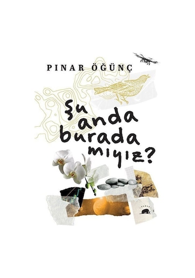 Şu Anda Burada mıyız? - Pınar ÖğünçKitap