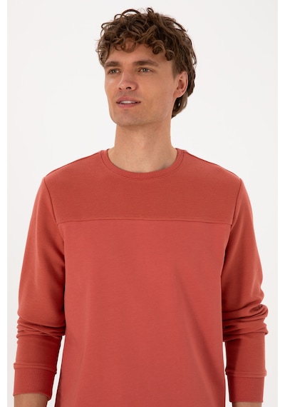 U.S. Polo Assn. Erkek Regular Fit Bisiklet Yaka Gül Kurusu İnce Sweatshirt 50315455-VR026
