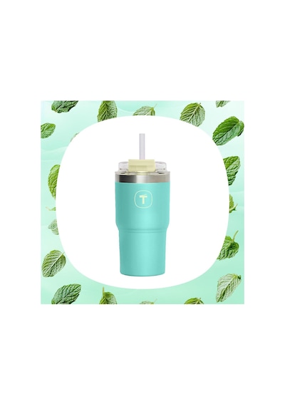Big T Termos 630 Ml Mint Çift Duvarlı Pipetli Sızdırmaz Yeşil