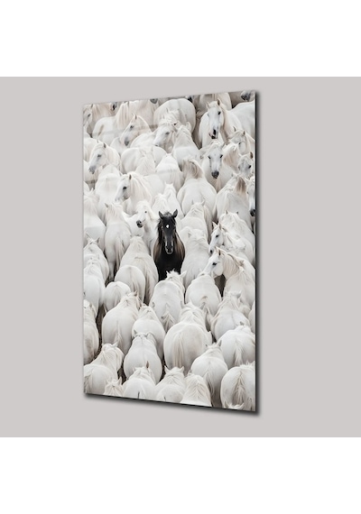 Siyah Asalet Cam Tablo Siyah Temalı Modern Duvar Dekoru 50x70 C