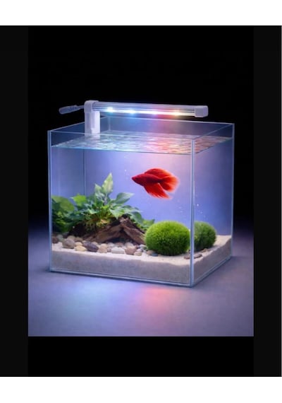 Alıon Akvaryum Aydınlatma 15 Cm Led 12 Volt Beyaz Kırmızı 2835 Şerit