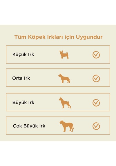 Kito Kurutulmuş Kuzu Kulak Çiğnemelik Doğal Glutensiz Organik Köpek Ödül Maması 100 G