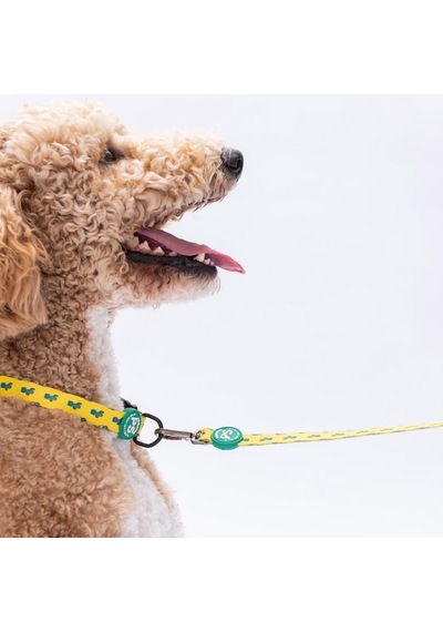 Cactus Kaktüs Desenli Köpek Boyun Tasması Ayarlanabilir Köpek Tasması M Size 32-48cm Boyun Aralığı Sarı