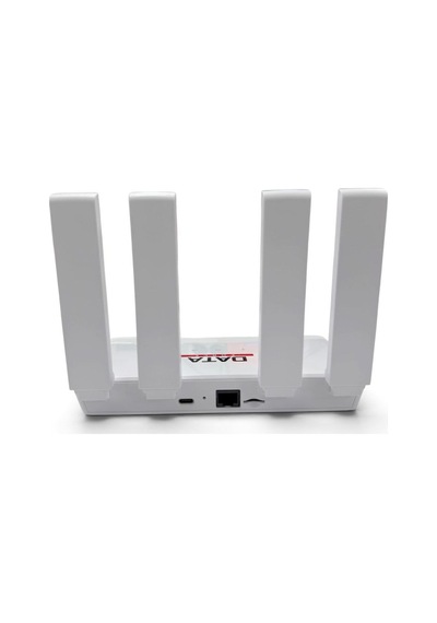 Data Force Cpe-906-e 4g Sim Kartlı 4 Antenli 1 Port Taşınabilir Modem