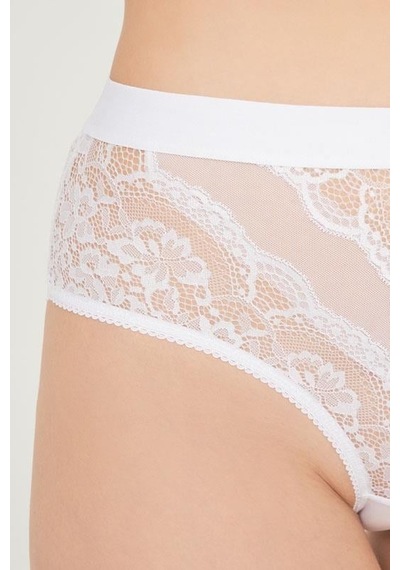 Cottonhill Dantelli Arkası Transparan Büyük Beden Bikini Külot 3'lü Paket-2 Çok Renkli 3