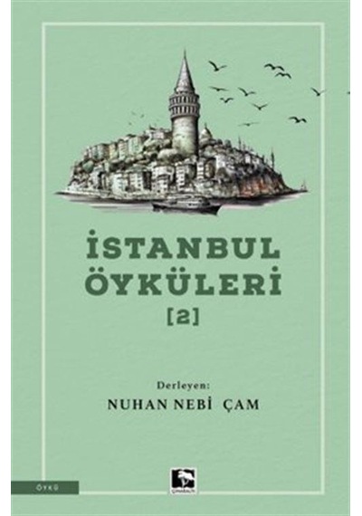 İstanbul Öyküleri 2