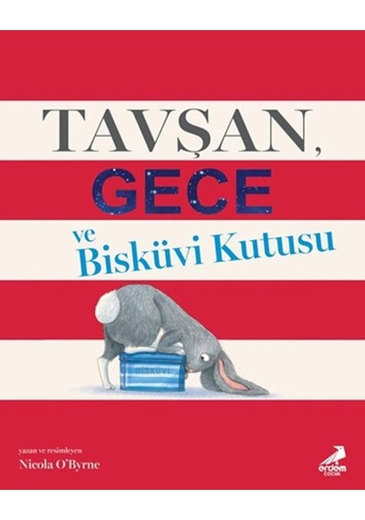 Tavşan Gece Ve Bisküvi Kutusu