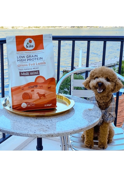 Kito Doğal Besi Kuzu Etli Yetişkin Mini Irk Köpek Maması 2.5 KG