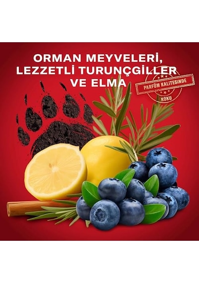 Old Spice Bearglove Erkekler İçin Duş Jeli Ve Şampuan 400 Ml Acai Üzümü