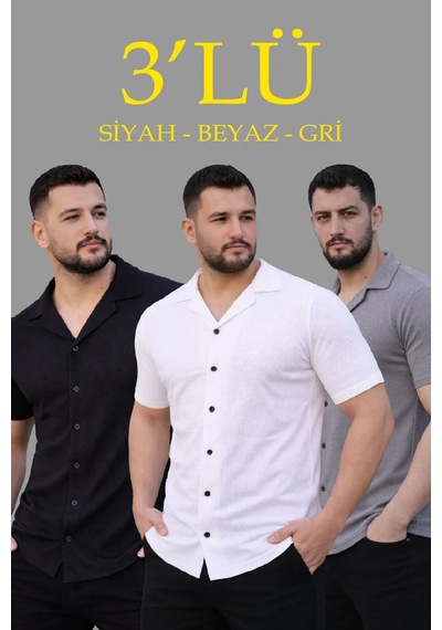 Assema Erkek Waffle Dokuma Açık Yakalı Düğmeli Regular Kalıp 3 Lü Gömlek Seti - Siyah, Beyaz, Gri Çok Renkli